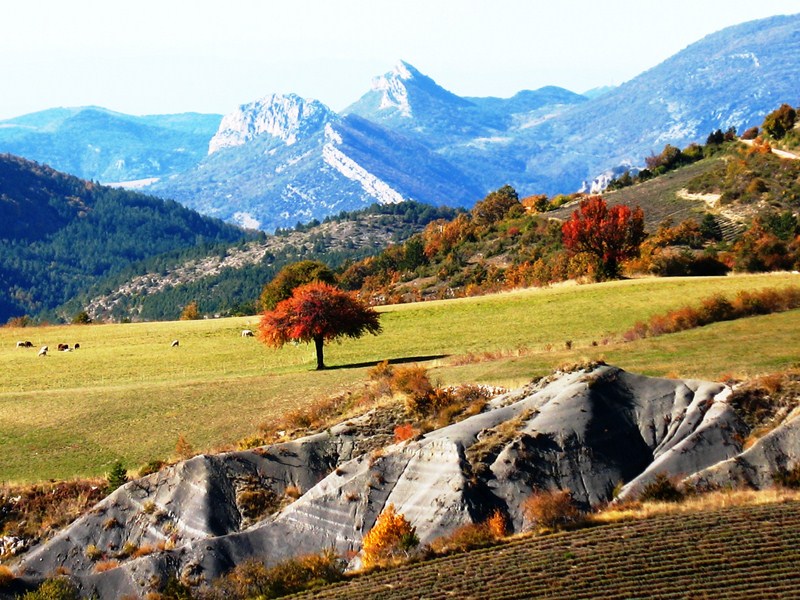pyasage contrasté ravin montagne thyme baronnies