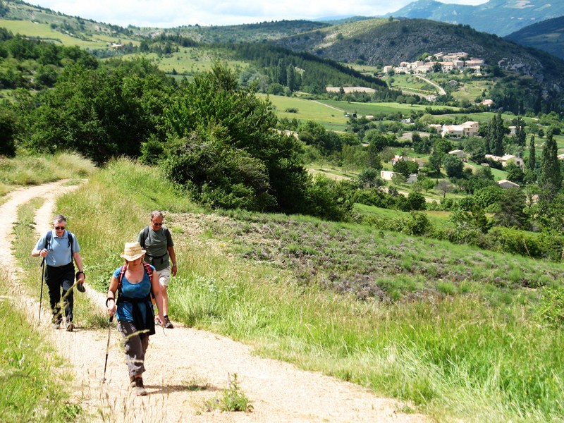 sejour de randonnée provence