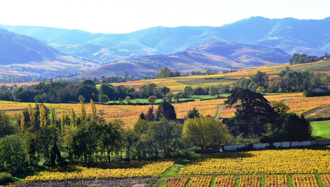 beaujolais autumne randonnée