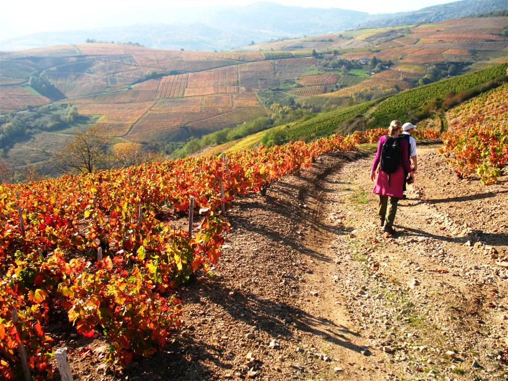 couleur autumn beaujolais marcher en liberté