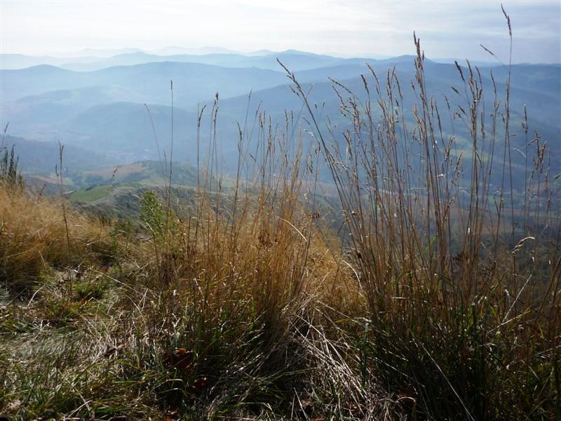 panorama vue collines montagnes de Beaujolais croix rochefort