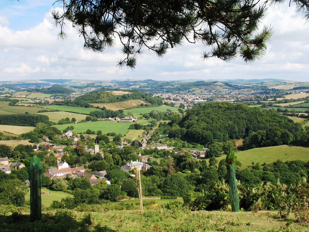 paysage de bocage dorset angleterre