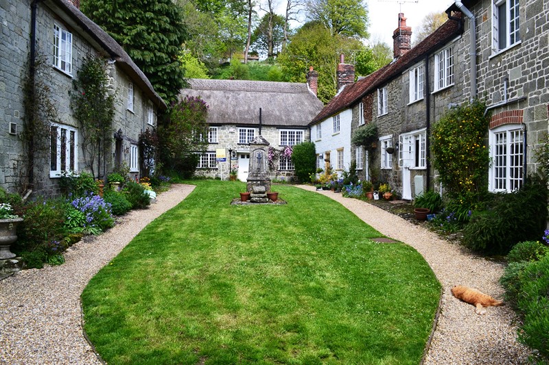 shaftesbury maisons historiques ville saxon dorset angleterre