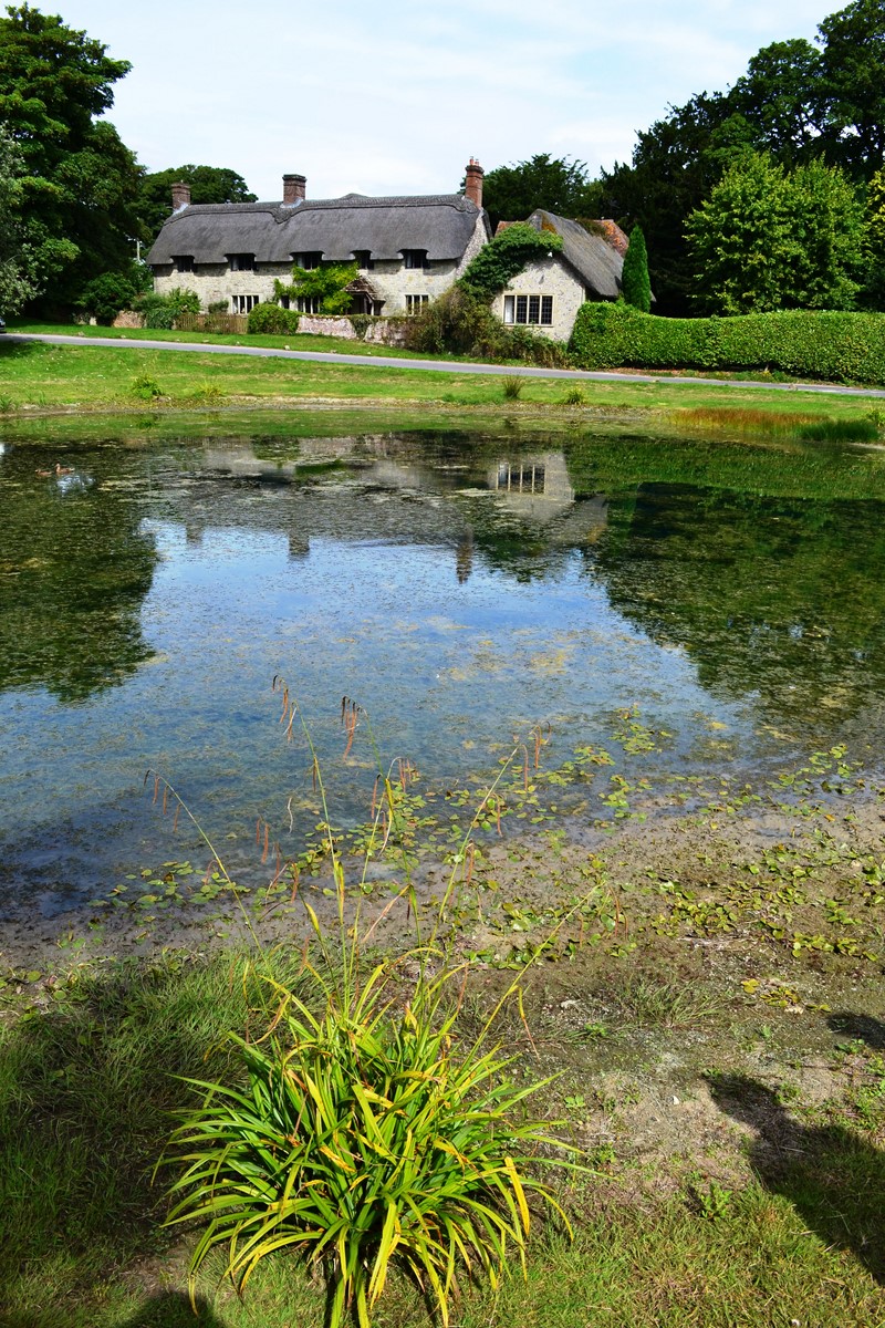 village ashmore dorset toit de chaumes