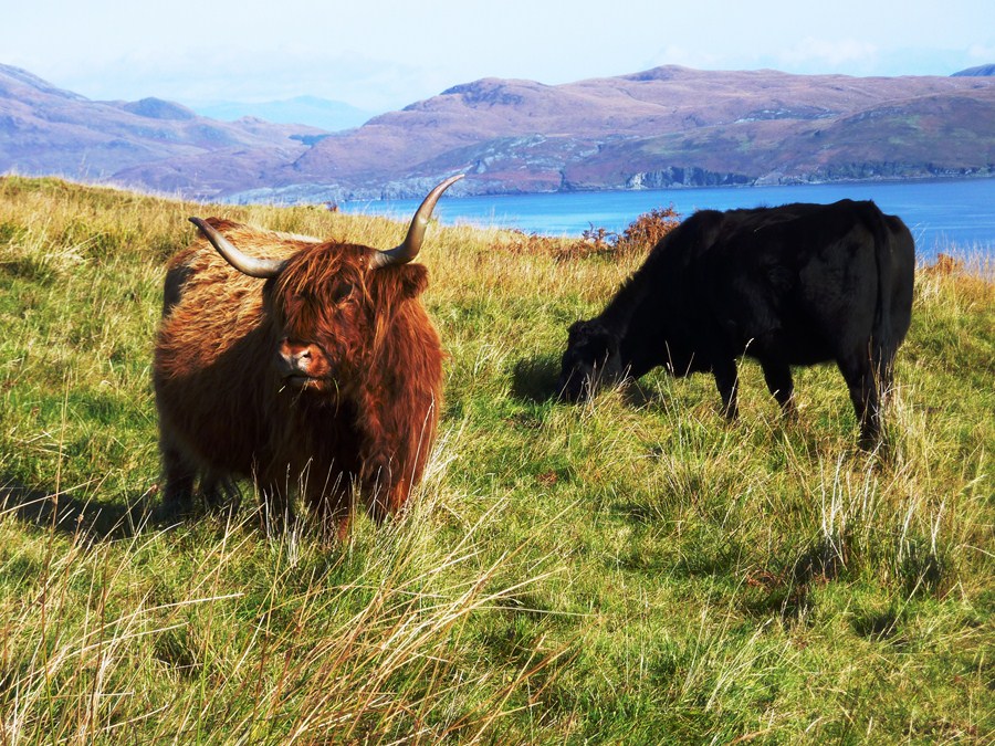 highlands ecosse beau paysage