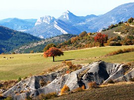 baronnies provence France sejour marche