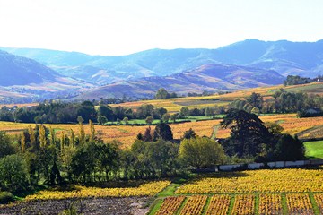 traversée du Beaujolais randonnée pedestre sejour